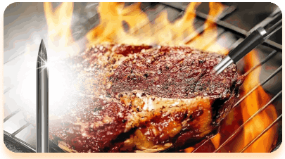 GrillSync